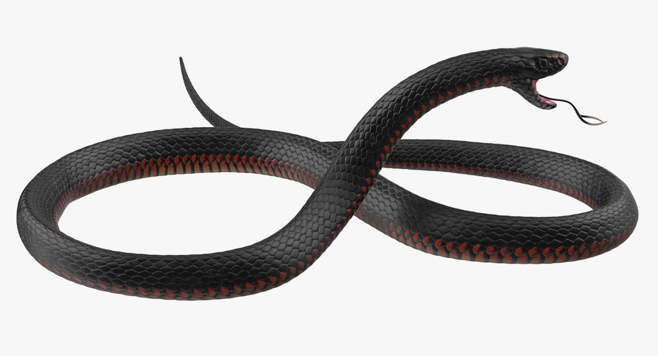 California King Snake Black 3D