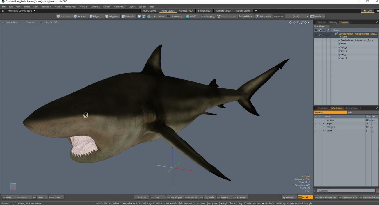 3D model Carcharhinus Amboinensis Shark