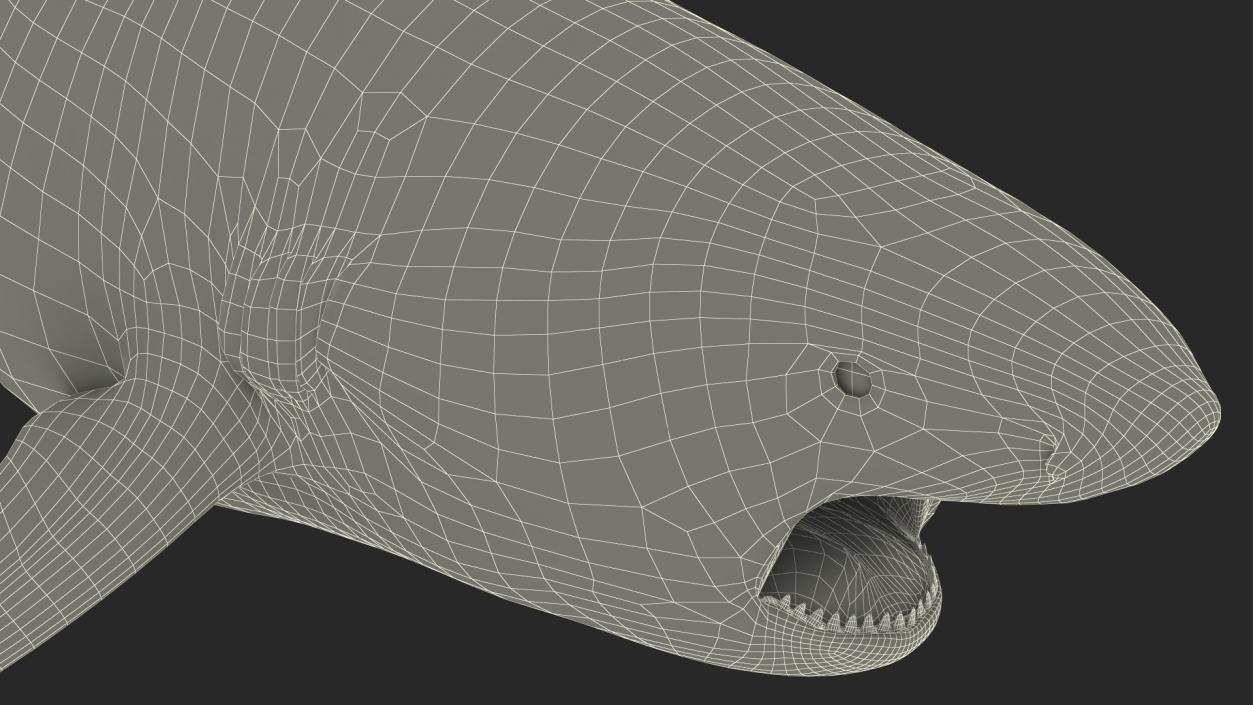 3D model Carcharhinus Amboinensis Shark