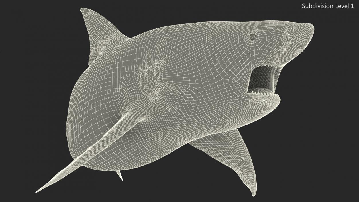 3D model Carcharhinus Amboinensis Shark