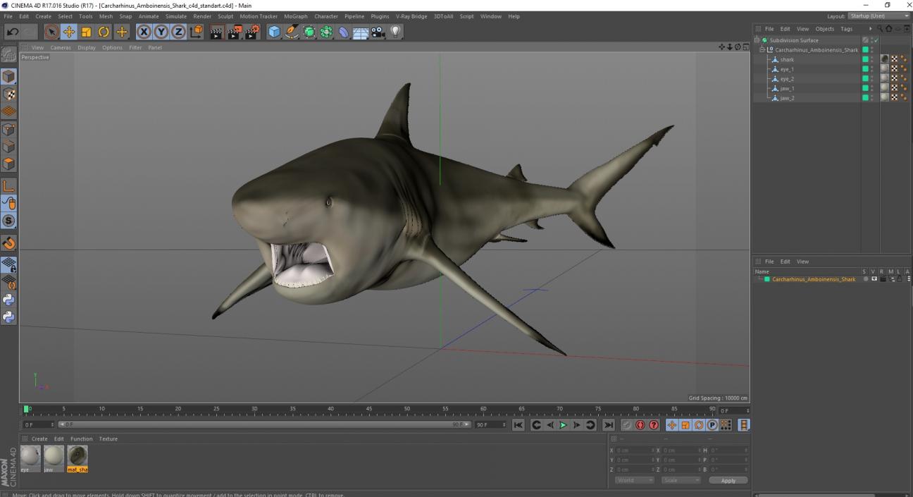 3D model Carcharhinus Amboinensis Shark