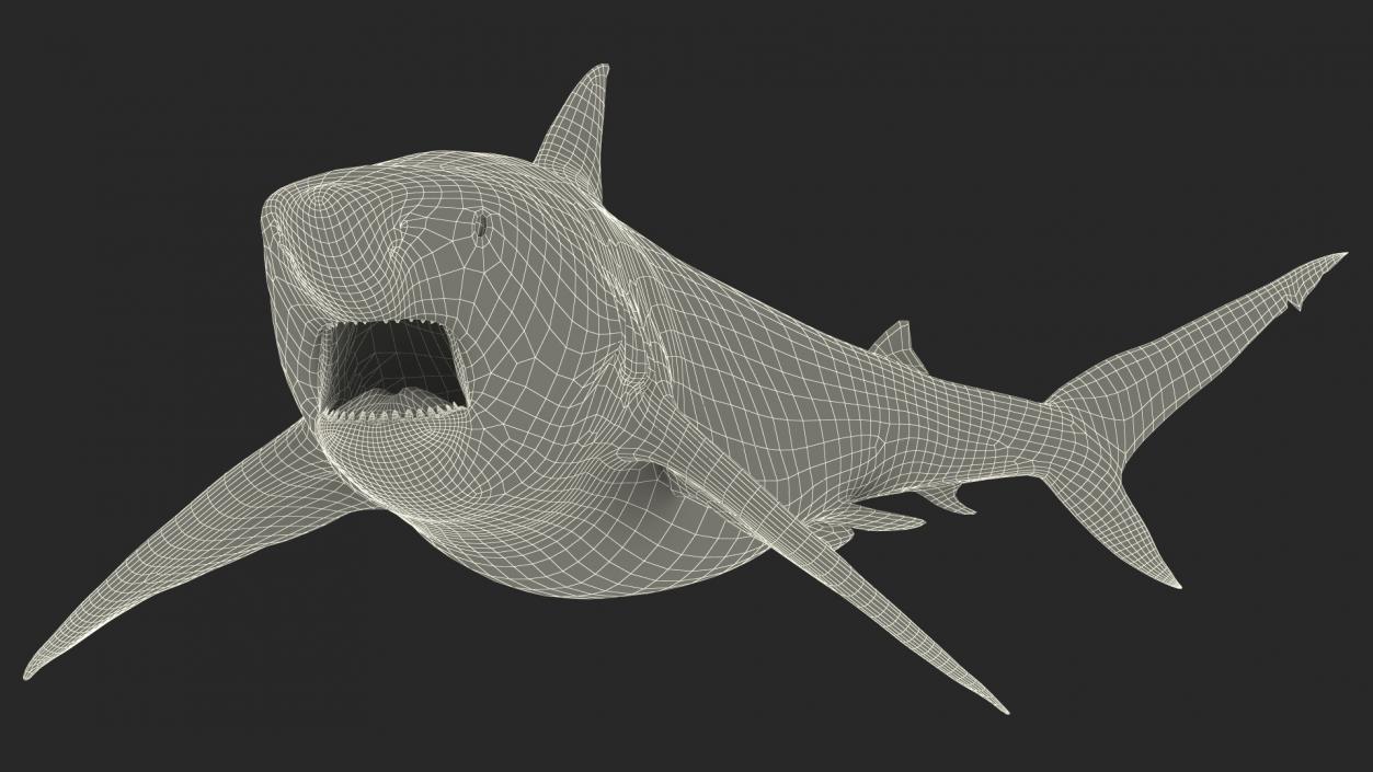 3D model Carcharhinus Amboinensis Shark