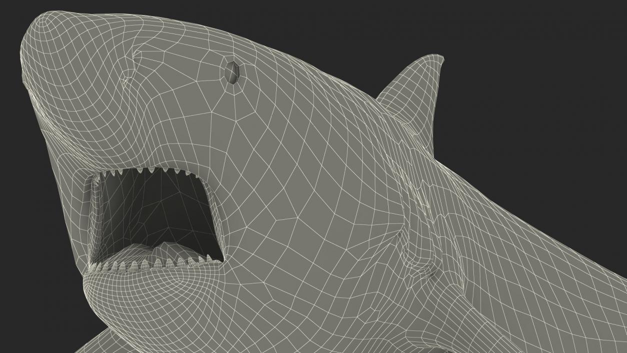 3D model Carcharhinus Amboinensis Shark