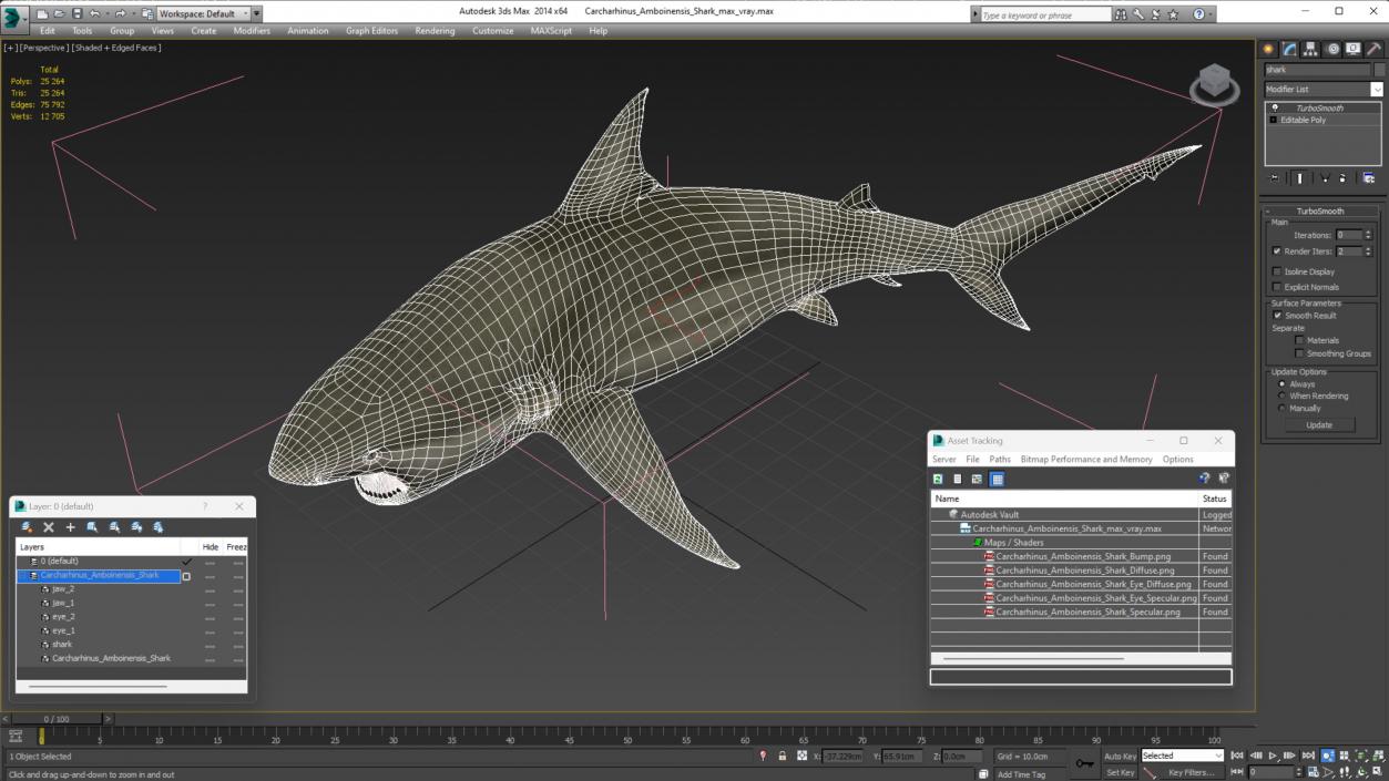 3D model Carcharhinus Amboinensis Shark