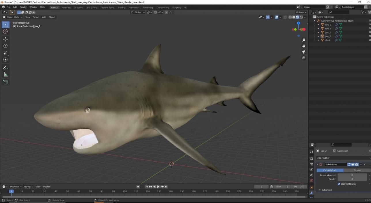 3D model Carcharhinus Amboinensis Shark