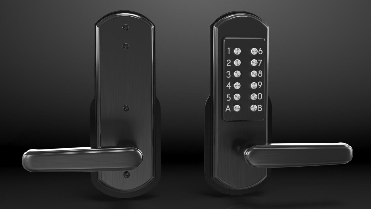 Keypad Door Lock Black 3D