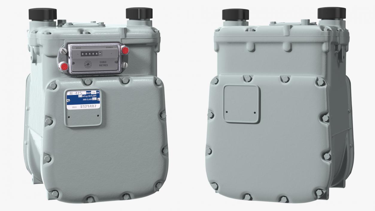 Diaphragm Gas Meter 3D model