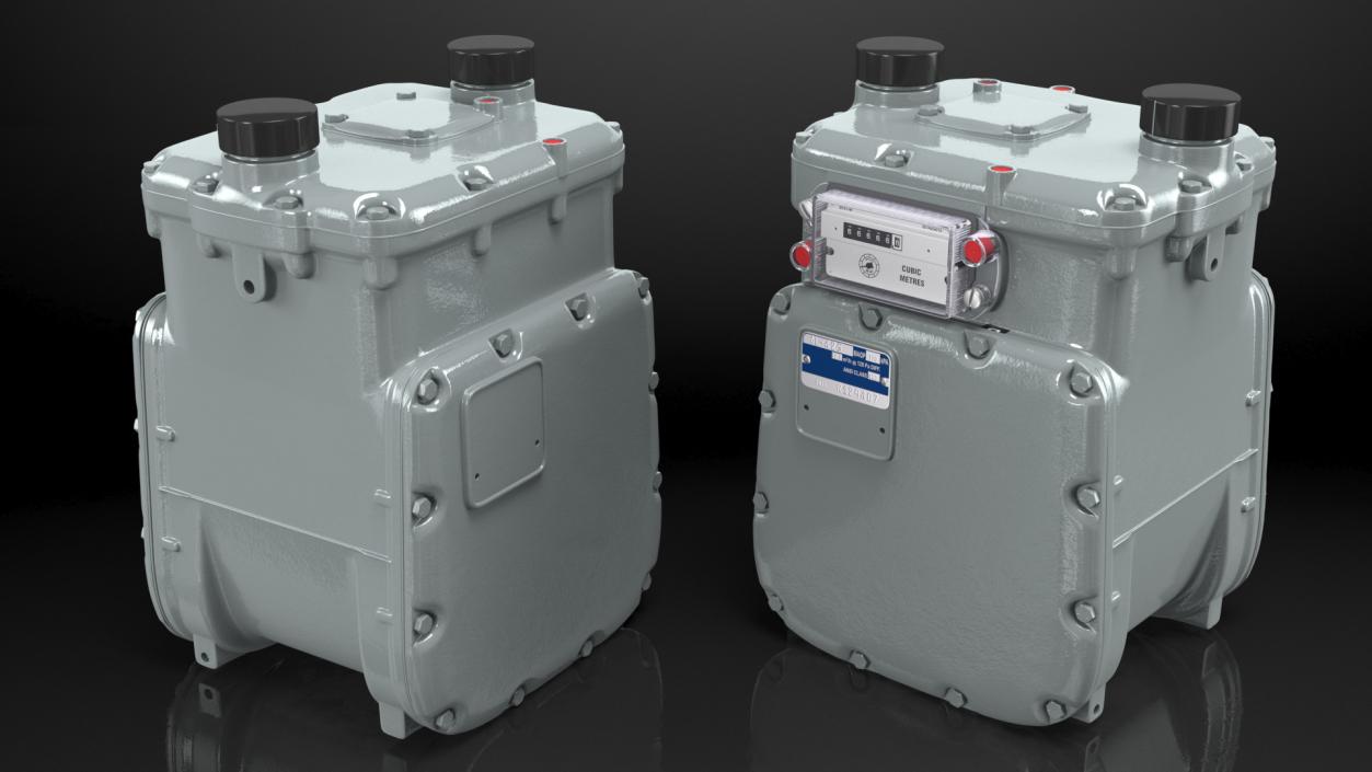 Diaphragm Gas Meter 3D model