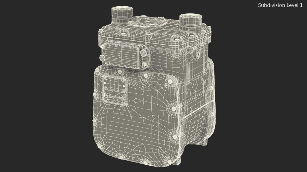 Diaphragm Gas Meter 3D model