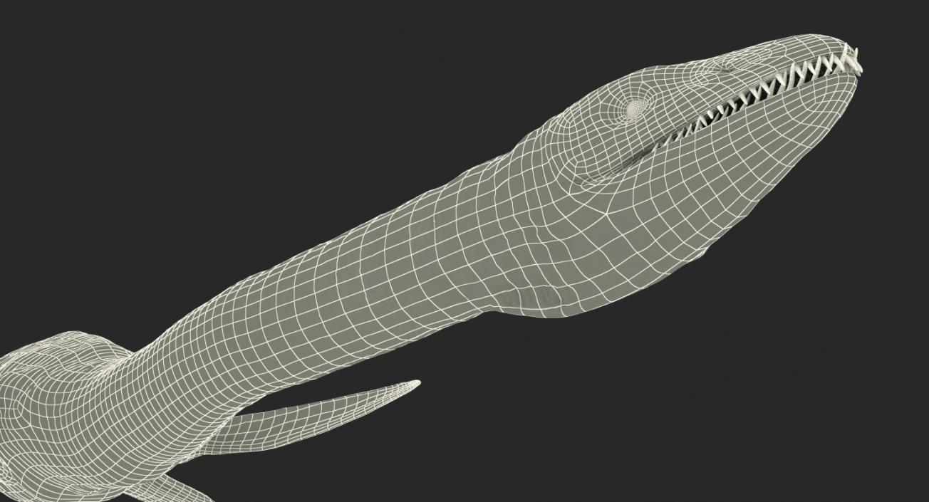 3D model Dinosaur Plesiosauria Swimming Pose