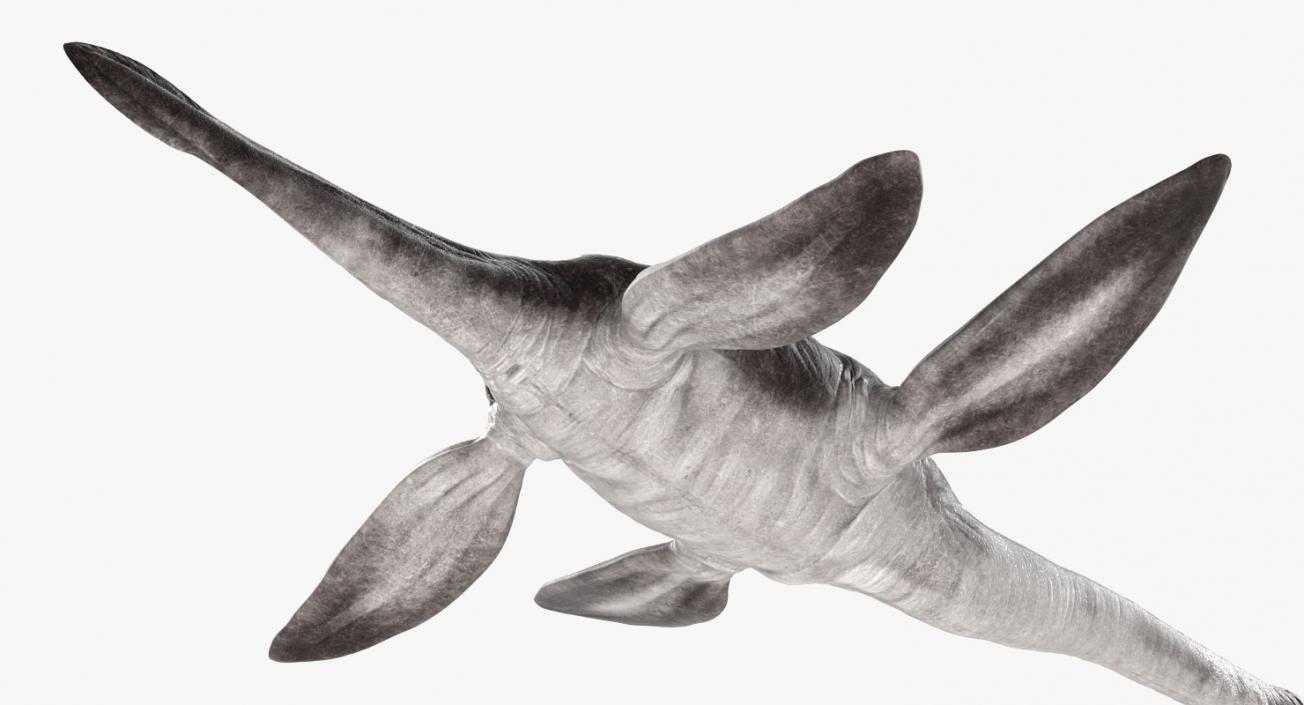 3D model Dinosaur Plesiosauria Swimming Pose