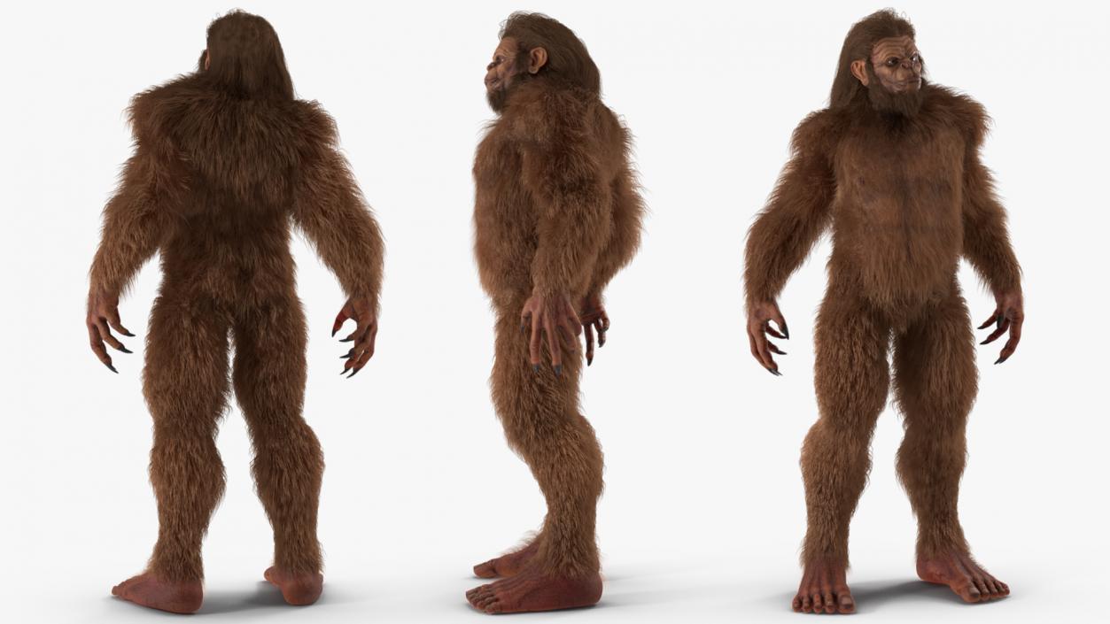 3D model Sasquatch Rigged Fur