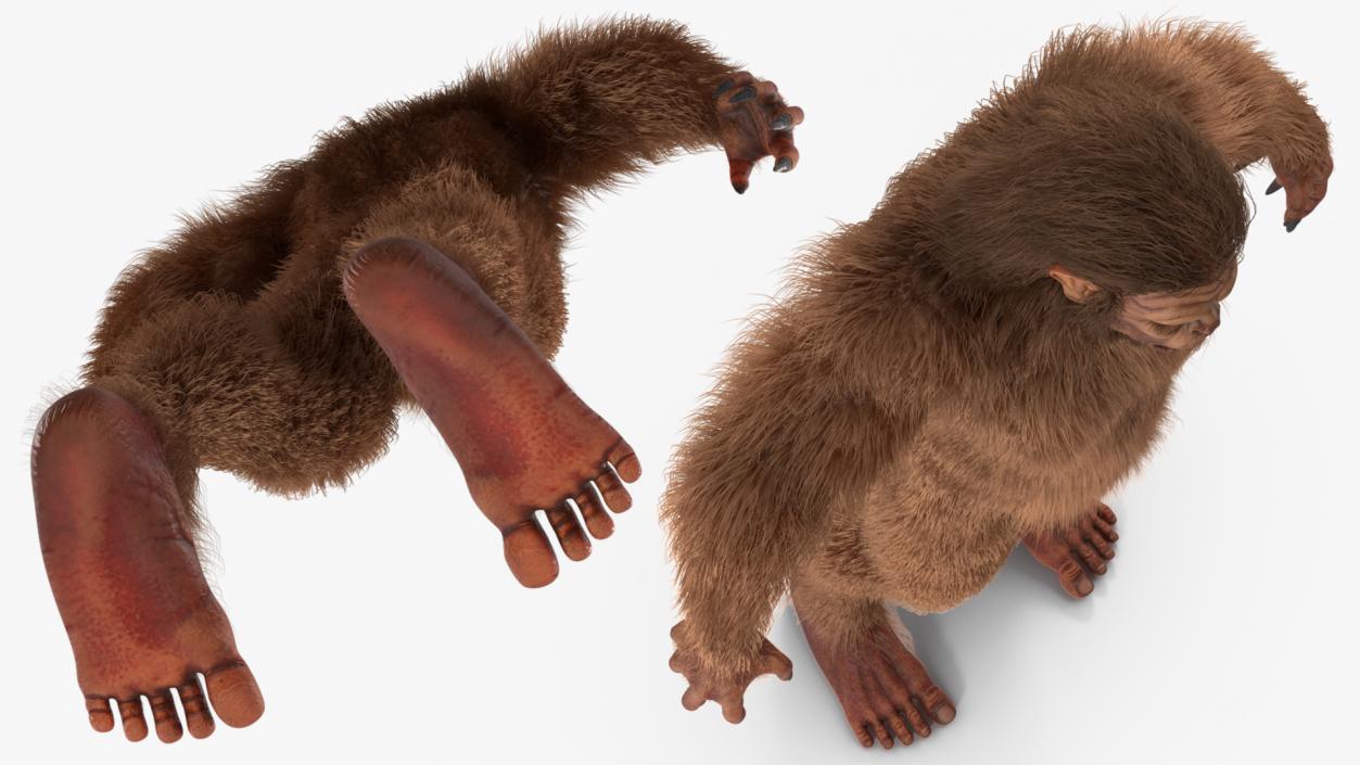 3D model Sasquatch Rigged Fur