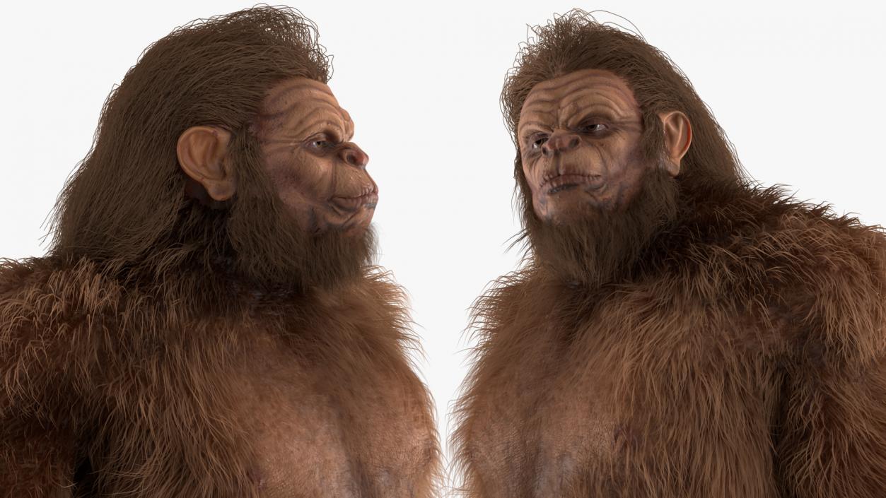 3D model Sasquatch Rigged Fur