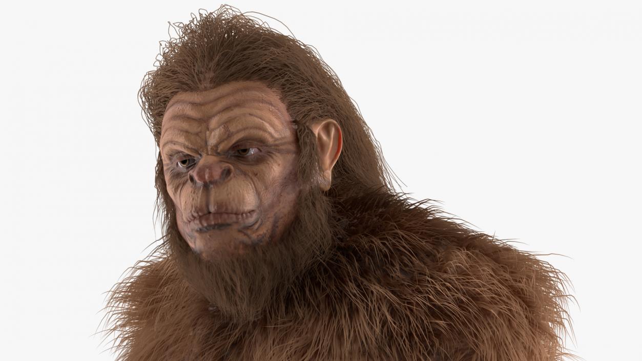 3D model Sasquatch Rigged Fur