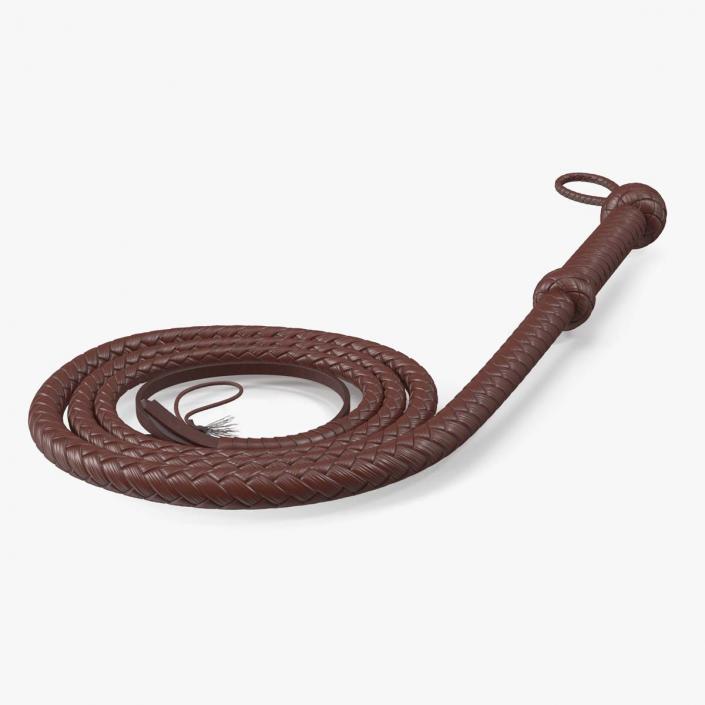 3D Cowboy Whip Brown Rigged for Maya model