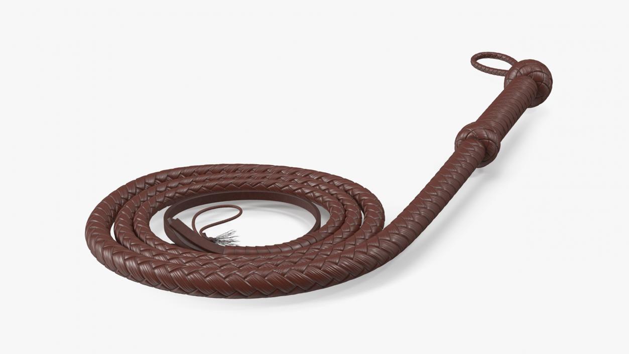 3D Cowboy Whip Brown Rigged for Maya model