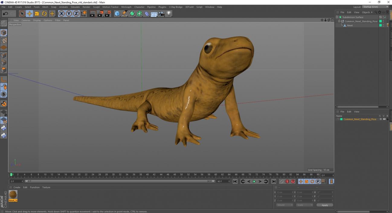 3D model Common Newt Standing Pose