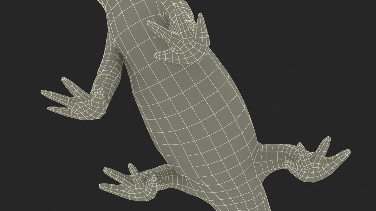 3D model Common Newt Standing Pose