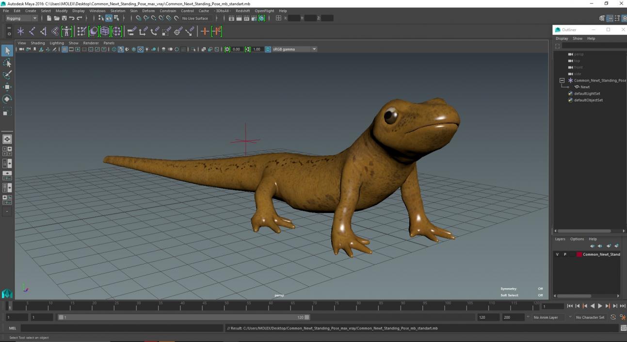 3D model Common Newt Standing Pose