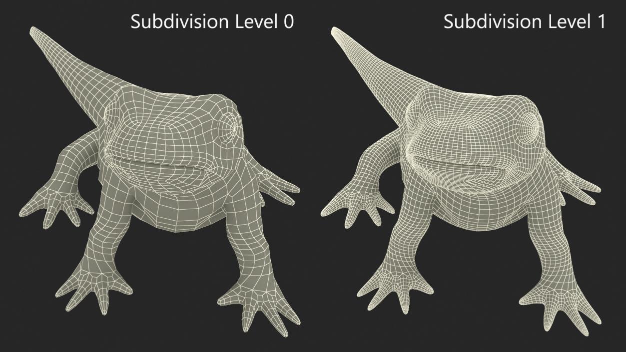 3D model Common Newt Standing Pose