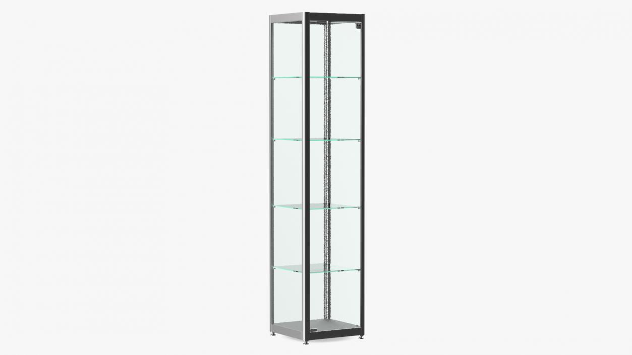 Glass Display Case Narrow Silver 3D