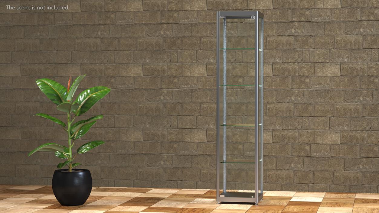 Glass Display Case Narrow Silver 3D