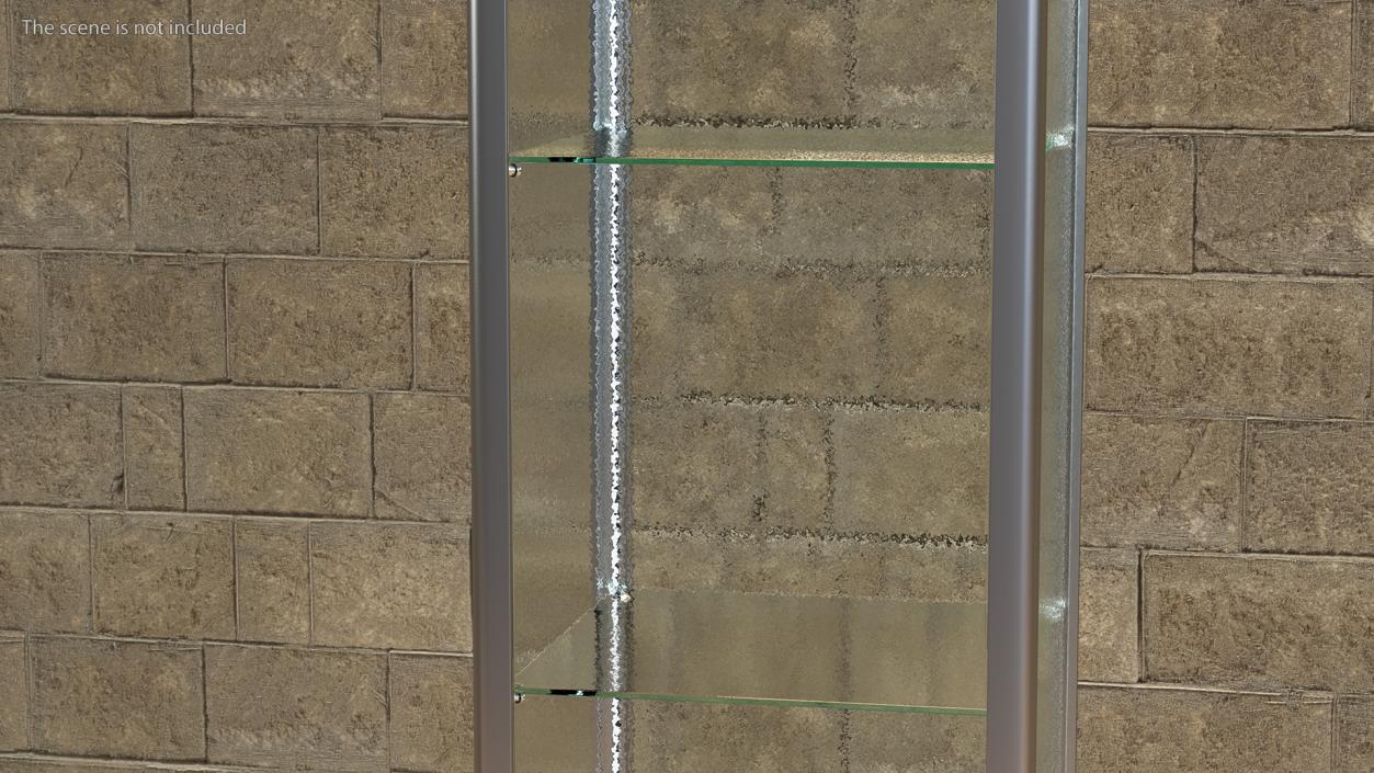 Glass Display Case Narrow Silver 3D