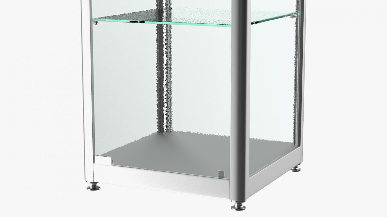 Glass Display Case Narrow Silver 3D