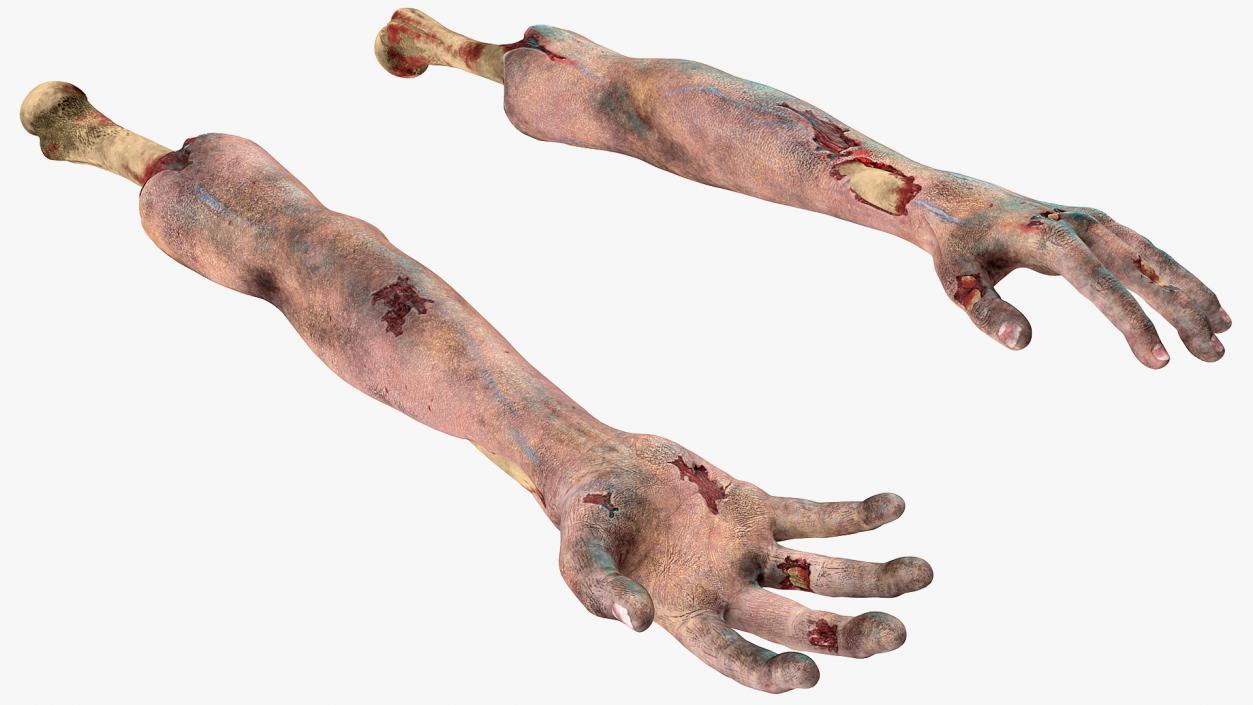 3D Bloody Zombie Arms model