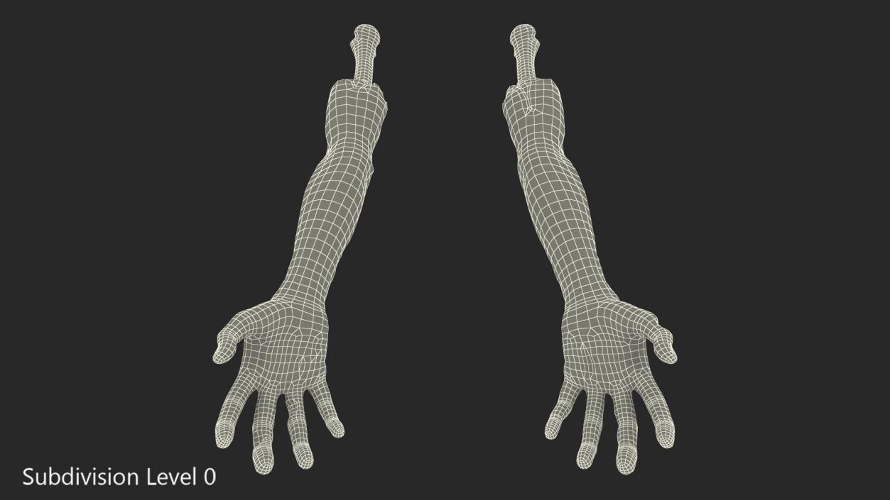 3D Bloody Zombie Arms model