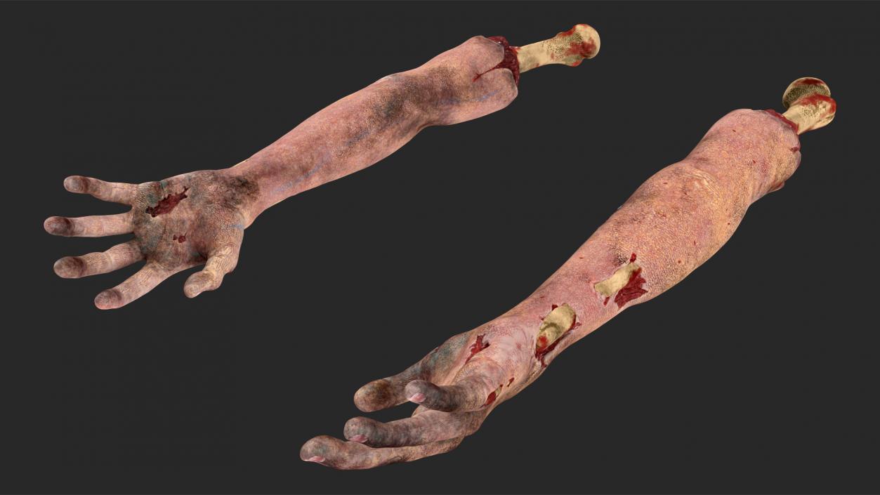 3D Bloody Zombie Arms model