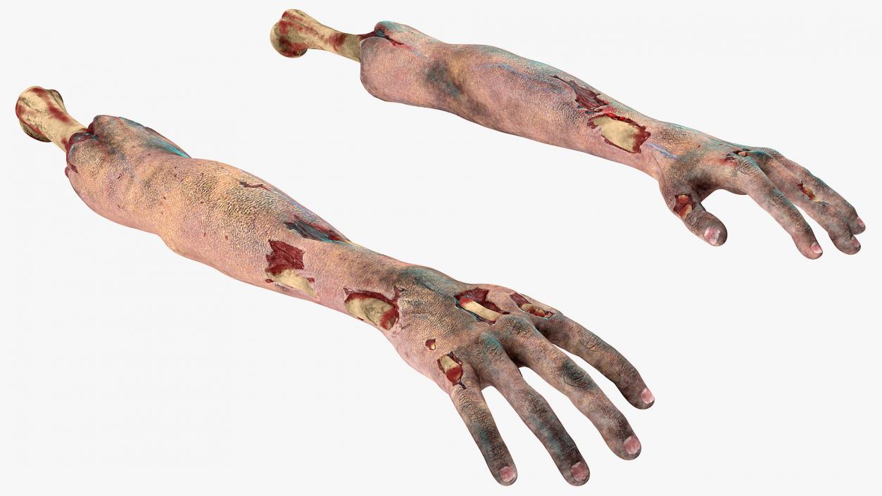 3D Bloody Zombie Arms model