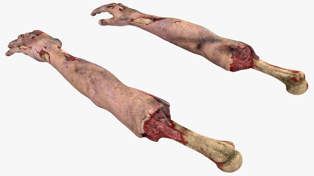 3D Bloody Zombie Arms model