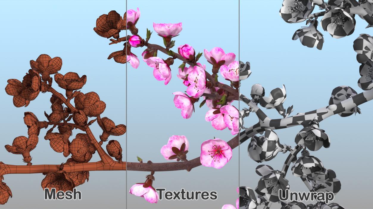 3D model Sakura Branch with Flower Buds