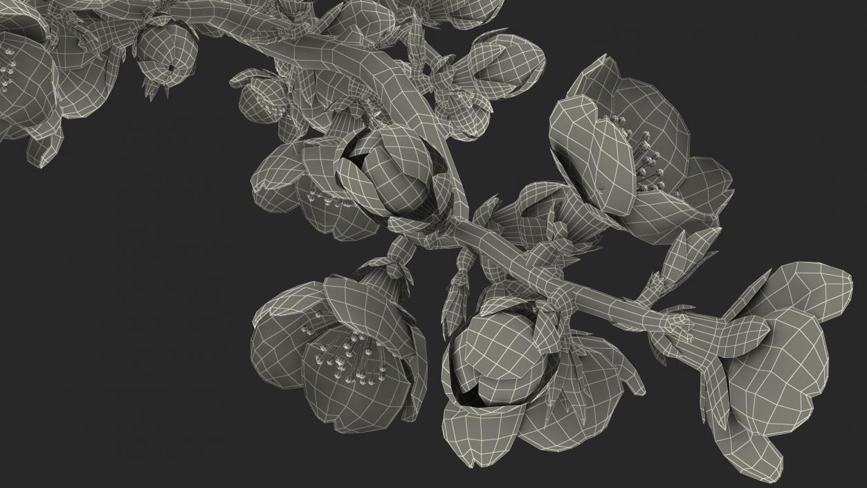 3D model Sakura Branch with Flower Buds