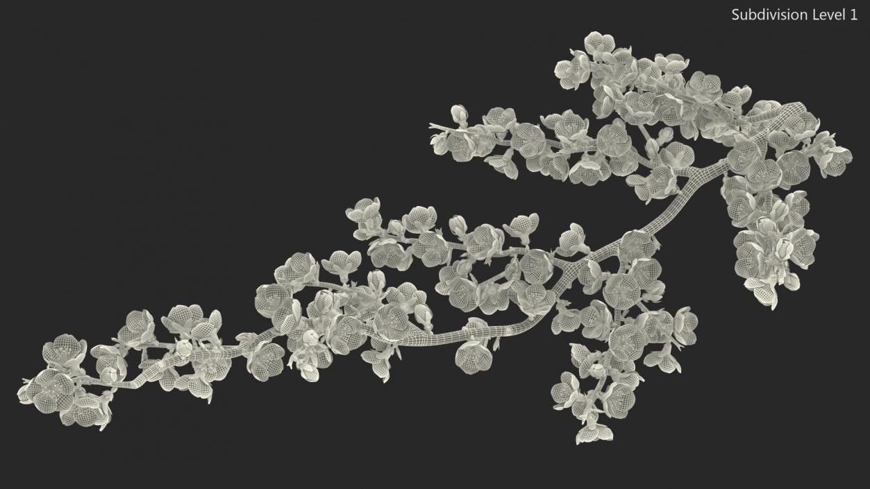 3D model Sakura Branch with Flower Buds