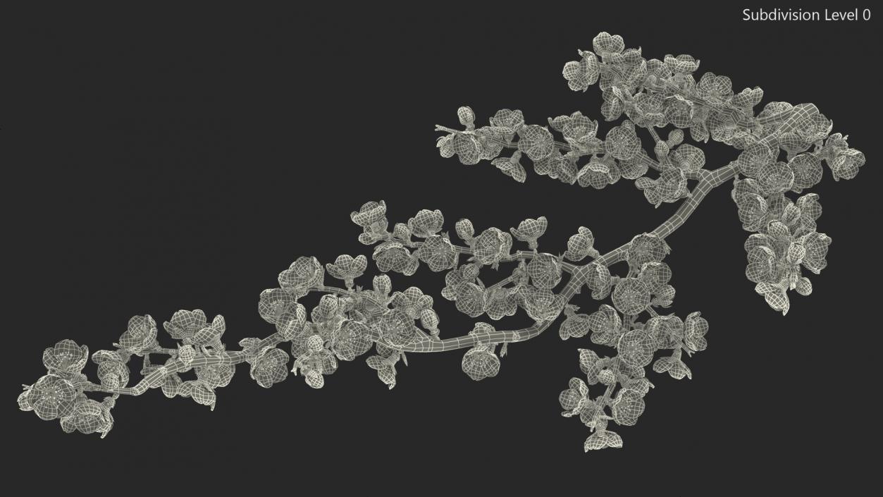 3D model Sakura Branch with Flower Buds