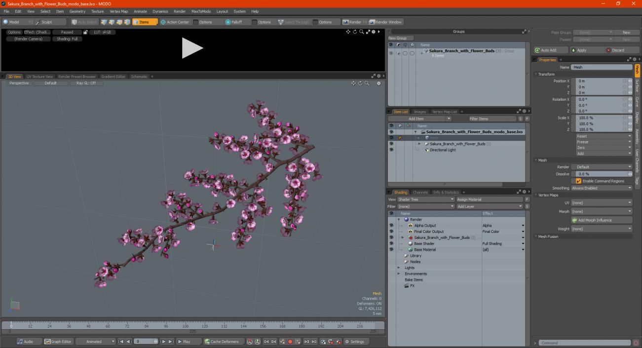 3D model Sakura Branch with Flower Buds