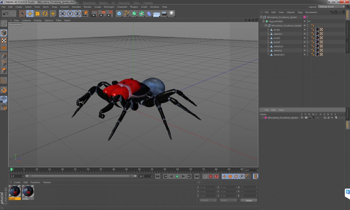 3D Missulena Occatoria Spider