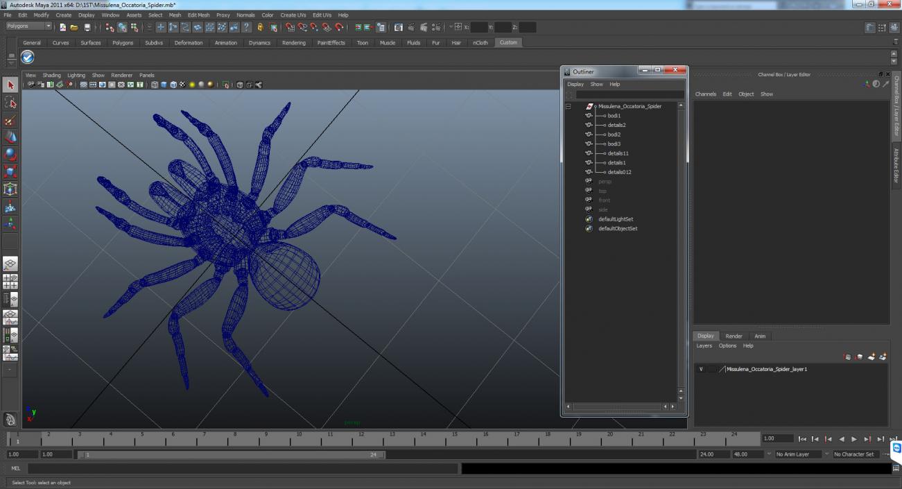 3D Missulena Occatoria Spider