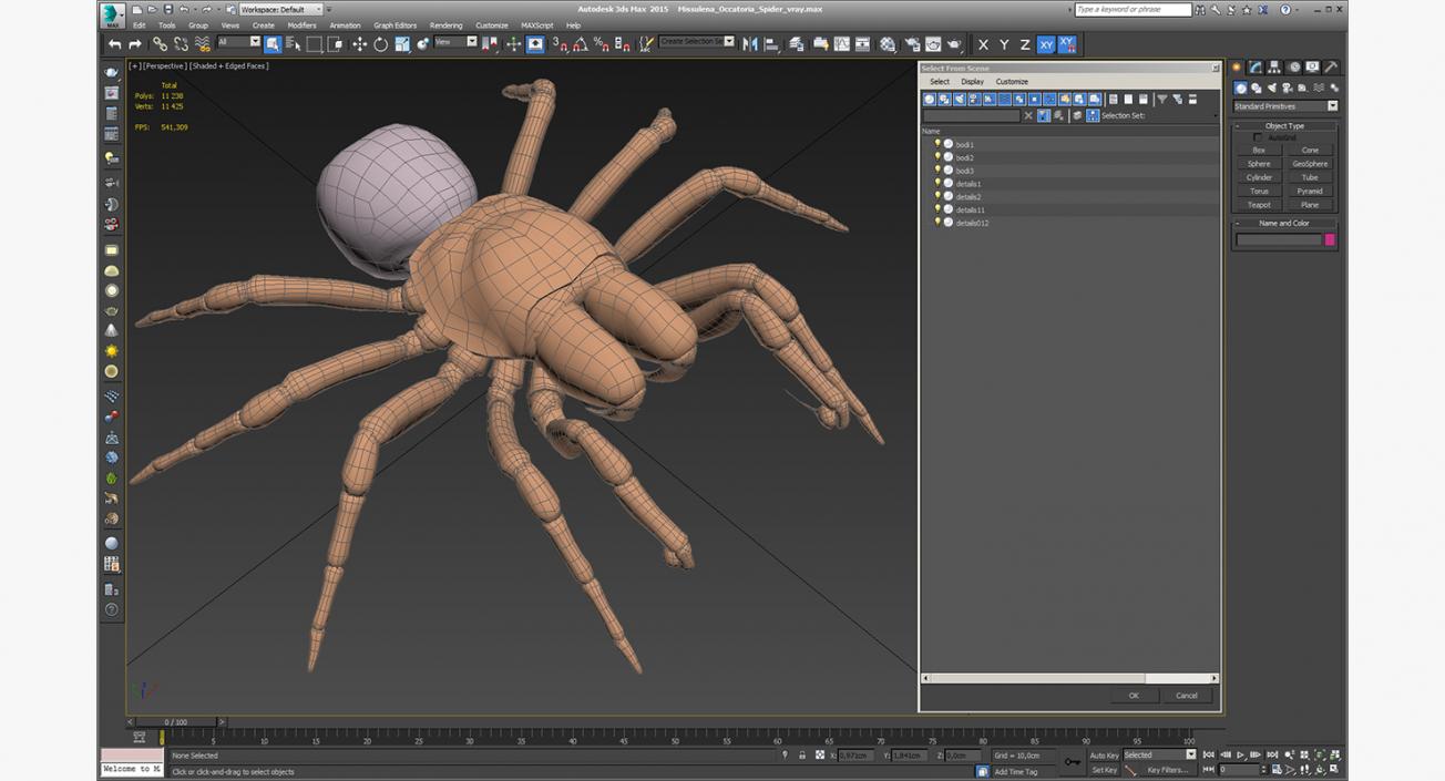 3D Missulena Occatoria Spider