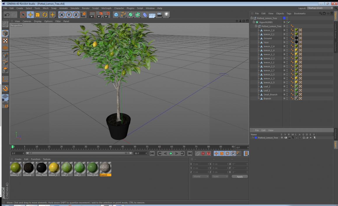 Potted Lemon Tree 3D