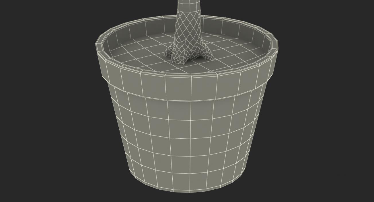 Potted Lemon Tree 3D