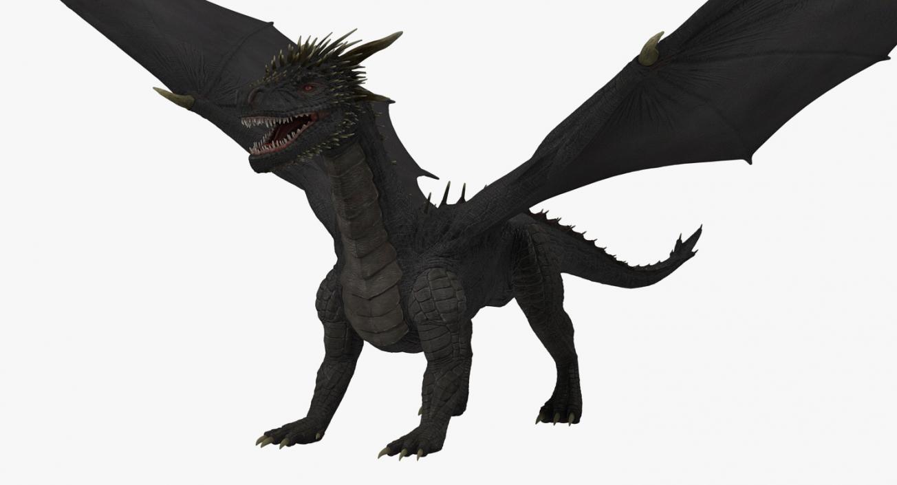 3D Black Mythical Dragon