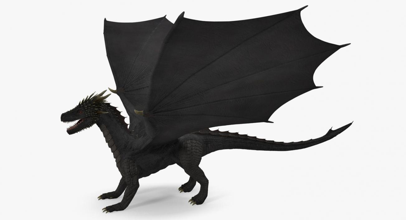 3D Black Mythical Dragon