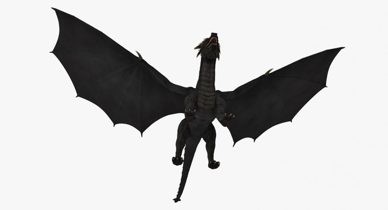 3D Black Mythical Dragon