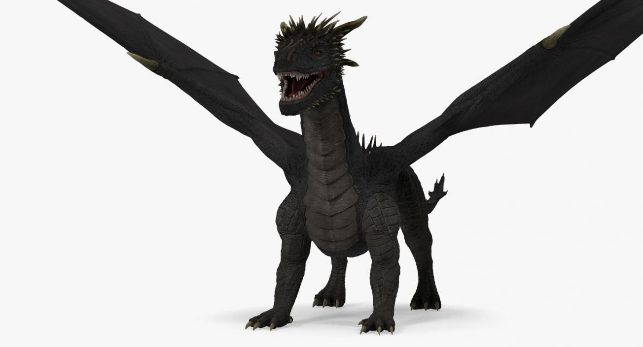 3D Black Mythical Dragon