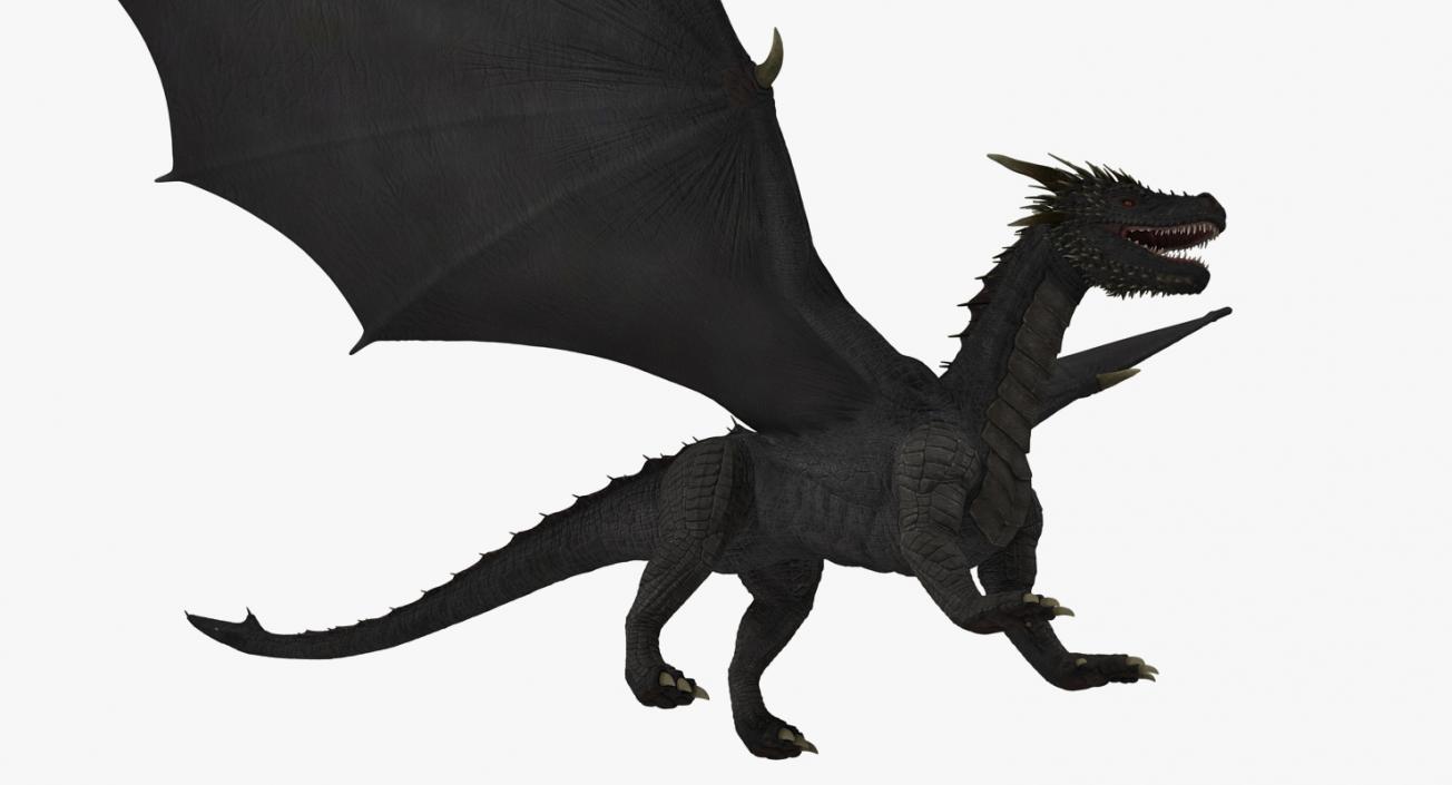 3D Black Mythical Dragon