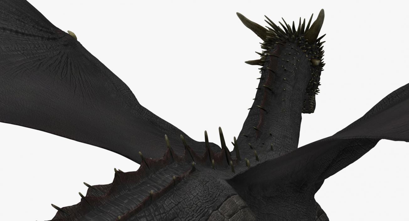 3D Black Mythical Dragon